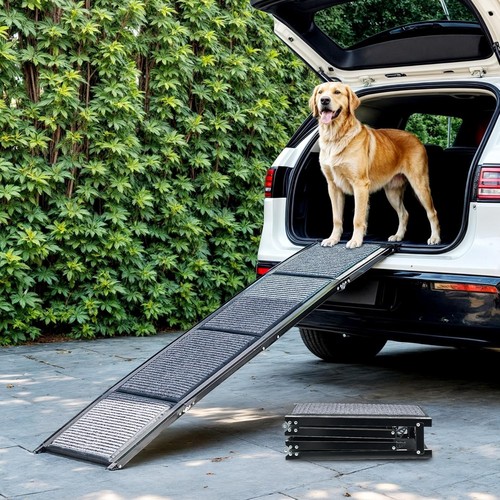 Folding dog ramp - dog,